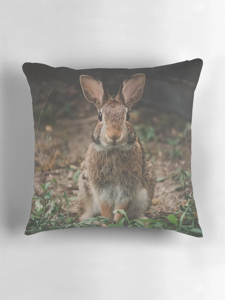 Imagen 3 de 4, Cojín con la obra Peter Rabbit, diseñada y vendida por dev11588.