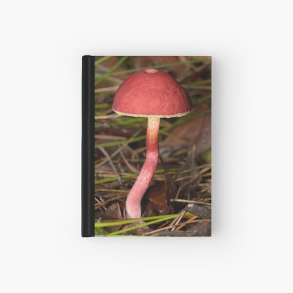 Red Fungus - Boletellus obscurecoccineus Hardcover Journal
