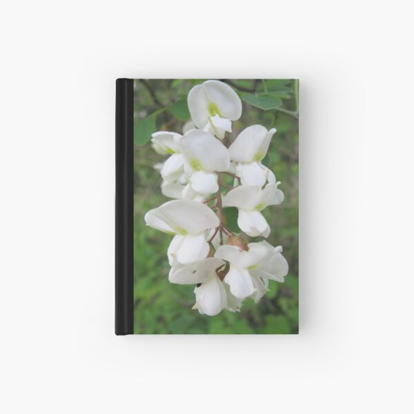 Pure As The Driven Snow Hardcover Journal