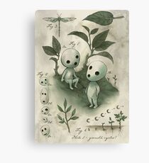 Natural History - Forest Spirit studies Canvas Print