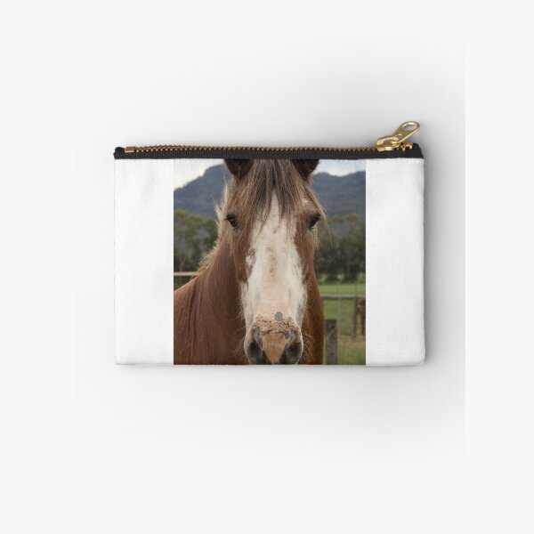 Artikelvorschau, Rosie, the Clydesdale. entworfen und verkauft von Withns.