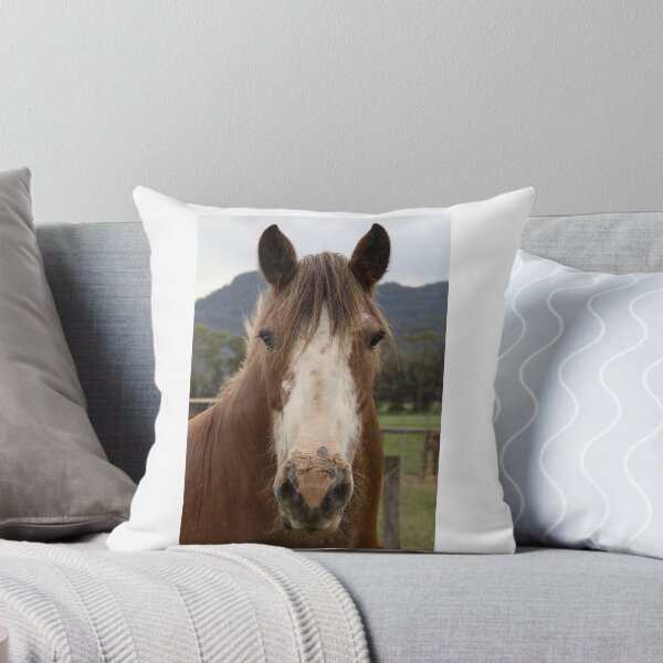 Artikelvorschau, Rosie, the Clydesdale. entworfen und verkauft von Withns.