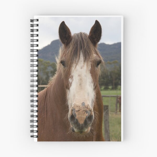 Item preview, Rosie, el Clydesdale. designed and sold by Withns.