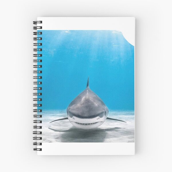 Item preview, Jaws  designed and sold by RIGH-NOW.