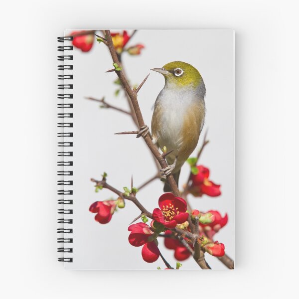 Item preview, Winter Silvereye designed and sold by Kimball Chen.