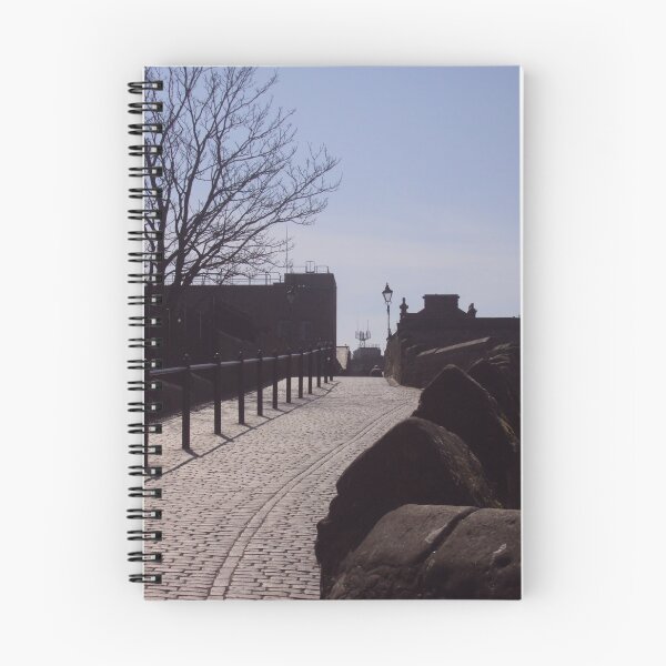 Item preview, THE Auld Brig, Ayr designed and sold by biddumy.