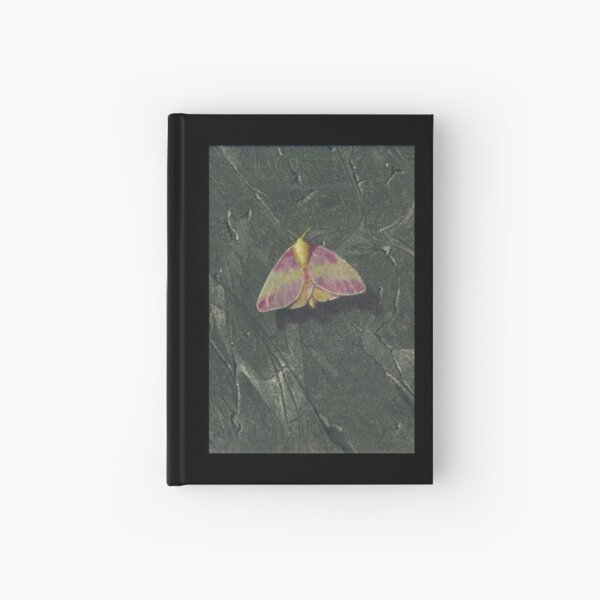 Rosy Maple Moth Hardcover Journal