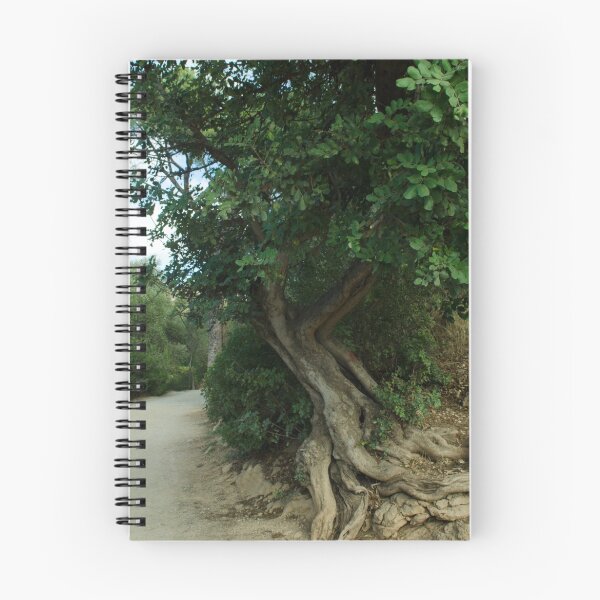 Item preview, Old tree designed and sold by TIERRAdesigner.