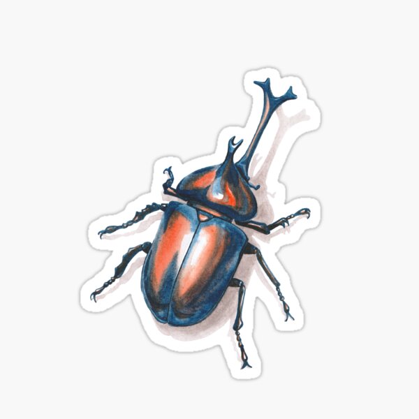 Microrealistic beetle tattoo on the inner forearm