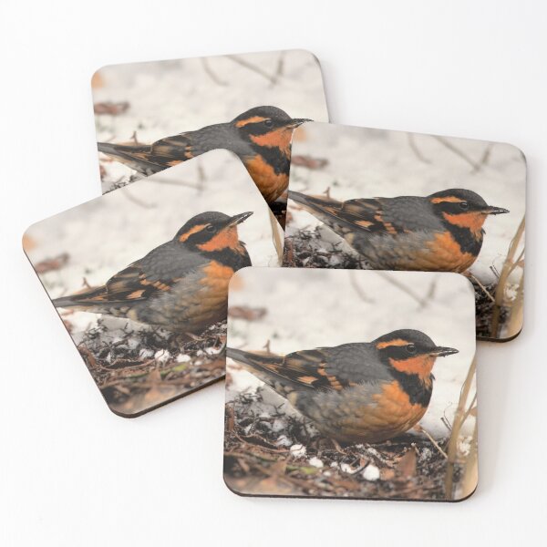 Item preview, Stunning Varied Thrush on the Snowy Ground designed and sold by walkswithnature.
