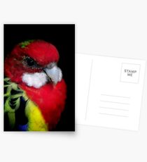 Eastern Rosella Postcards