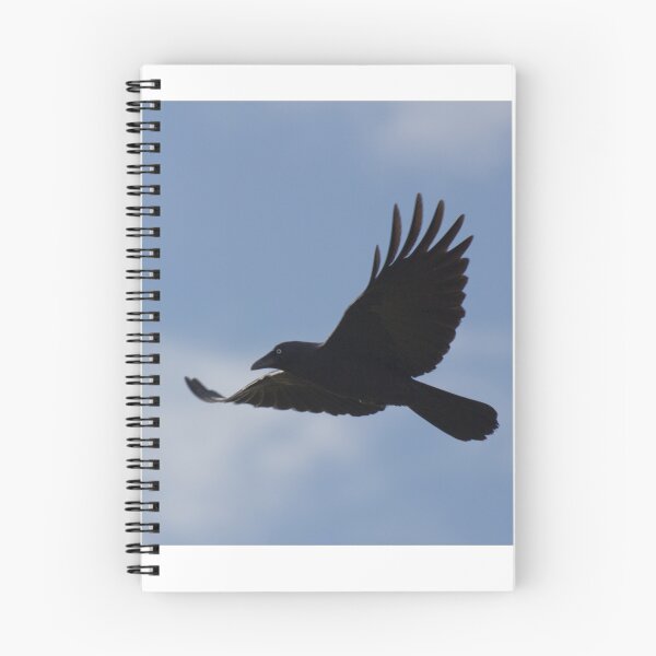 Aperçu de l'œuvre Black Bird Fly créée et vendue par Withns.