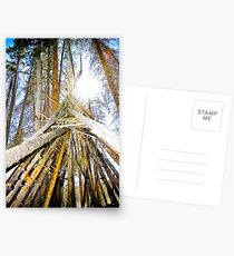 Tipi Postcards