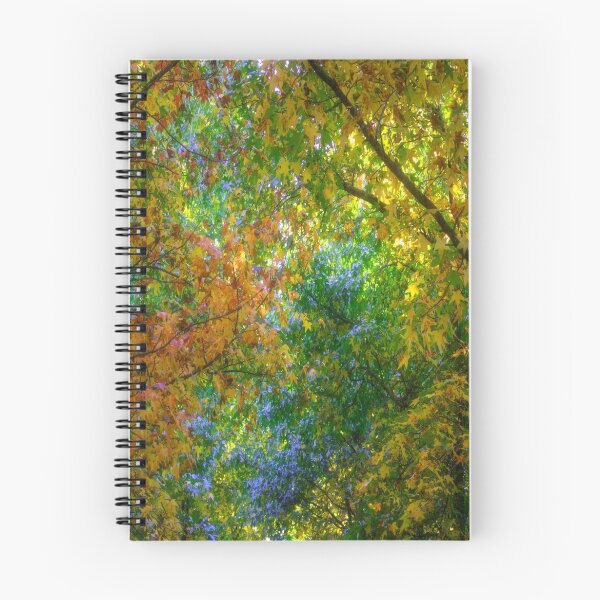 Item preview, Autumn Canopy - Mount Wilson NSW designed and sold by Salieri1627.