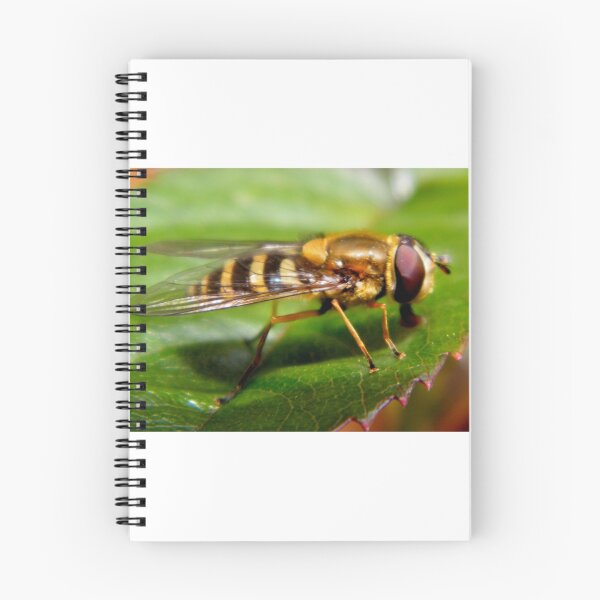 Item preview, Hoverfly 2 designed and sold by ElsT.