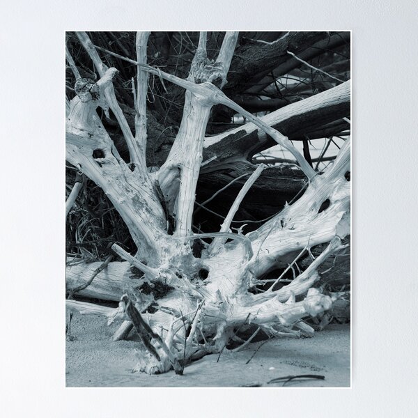Item preview, Drifted III designed and sold by KirstyStewart.