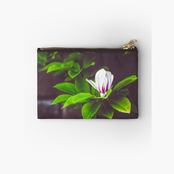 Item preview, Magnolia Blossom Growing in a Walled Garden designed and sold by marthadoom.