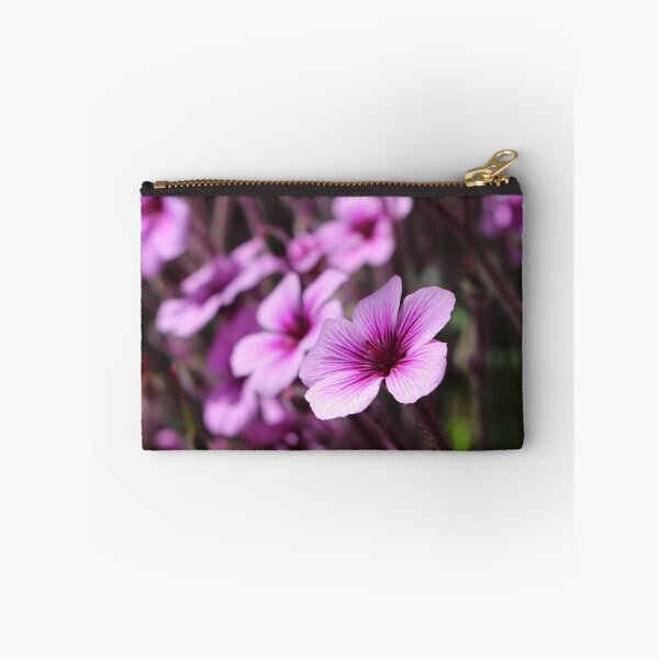 Item preview, Geranium maderense designed and sold by Plants+.