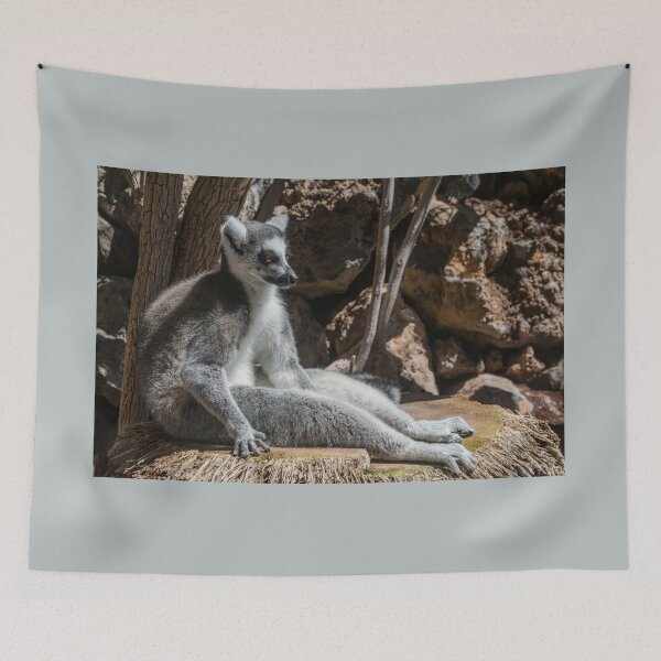Item preview, Lemur meditation sunbath designed and sold by Martin Leber.