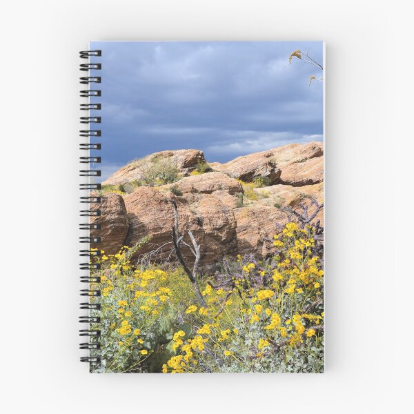 Item preview, Early Spring Desert designed and sold by Kathleen Brant.