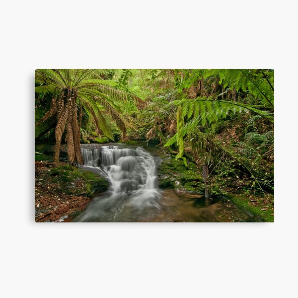 Item preview, Tasmanian rainforest designed and sold by traveller.