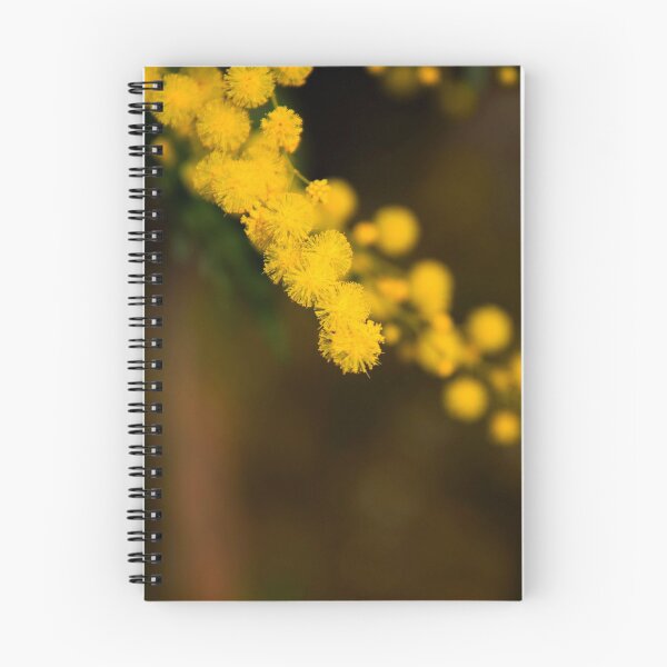 Aperçu de l'œuvre fleur de mimosa créée et vendue par TessAndre.