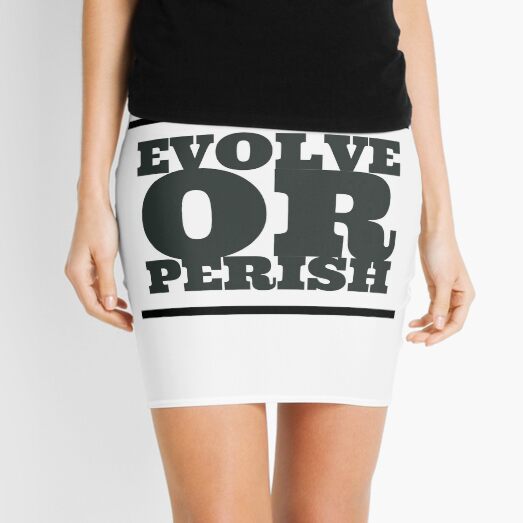 Untitled Mini Skirt