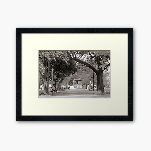 Lazy Afternoon in The Park Framed Art Print