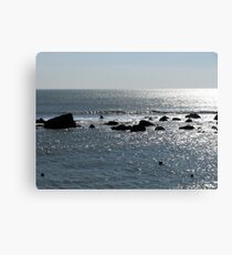 Freshwater on the Rocks Canvas Print