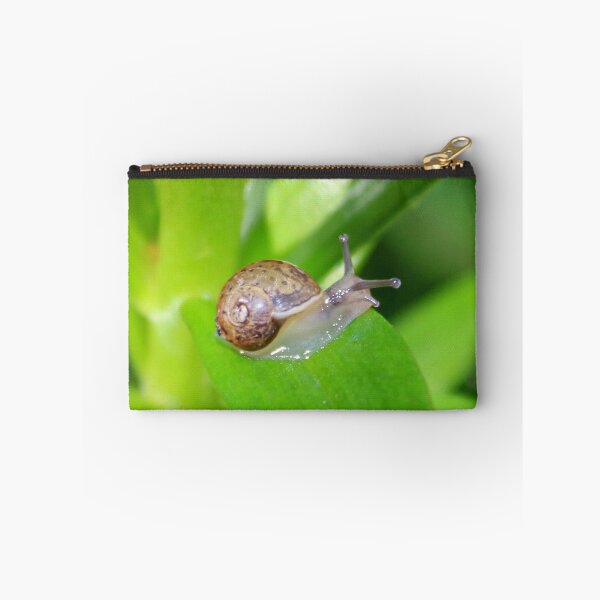 Item preview, Slithery Snail designed and sold by AnnDixon.