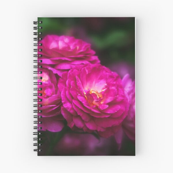 Item preview, Ardent Rose designed and sold by Jessica Jenney.