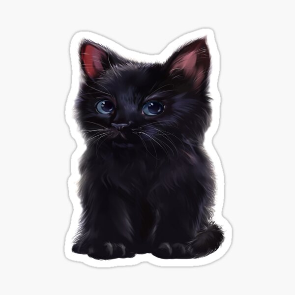 Black Kitten Black Kitten