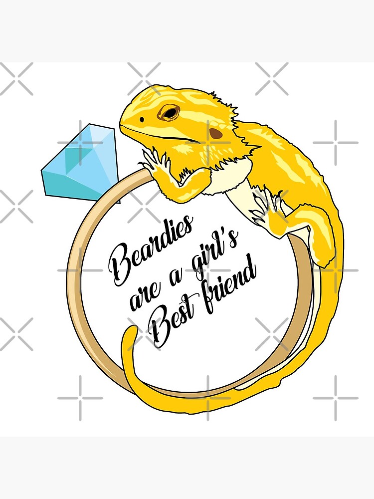 Beardies Are a Girls Best Friend by snibbo71