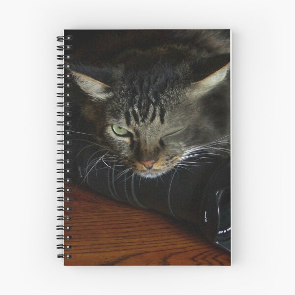 Item preview, MY Camera, wink wink! designed and sold by heatherfriedman.