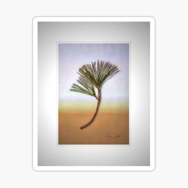 Item preview, Fir All We Know designed and sold by Rene Crystal.