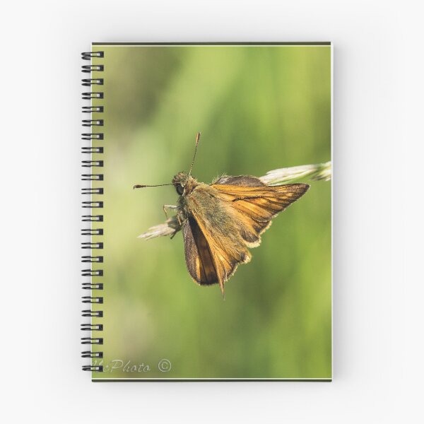 Item preview, Large Skipper (Ochlodes sylvanus) (I) designed and sold by DonMc.