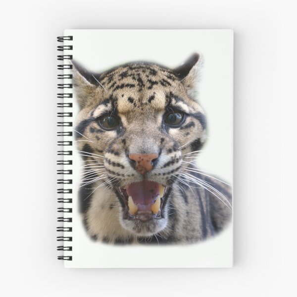 Item preview, Clouded Leopard on a white background designed and sold by Holmewood.