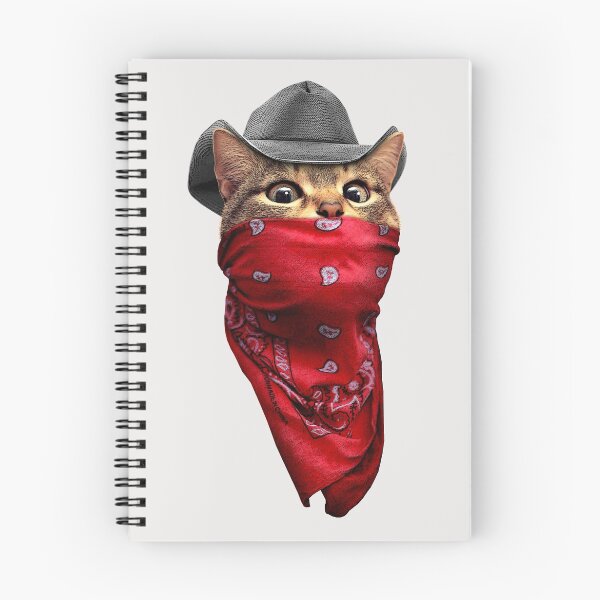Aperçu de l'œuvre CAT ROBBER créée et vendue par Jumali Katani.