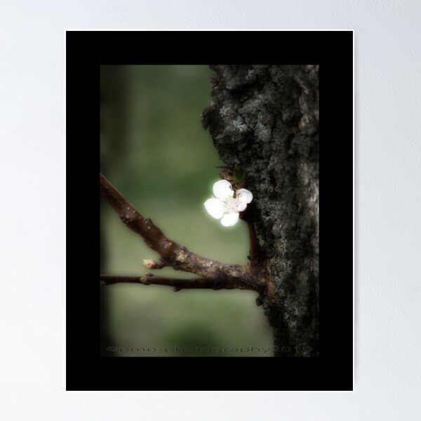 Item preview, Out Of The Dark  designed and sold by mimulux.