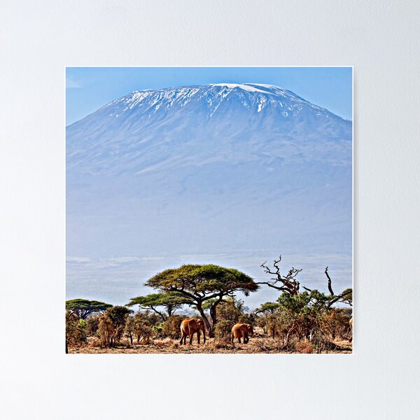Item preview, Kilimanjaro Elephants - Amboseli National Park, Kenya designed and sold by sward100.