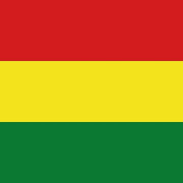 Aperçu de l'œuvre Drapeau de Bolivie de Flags & Cie