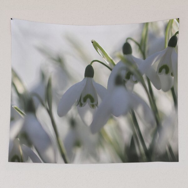 Item preview, Snowdrops up close designed and sold by cuprum.