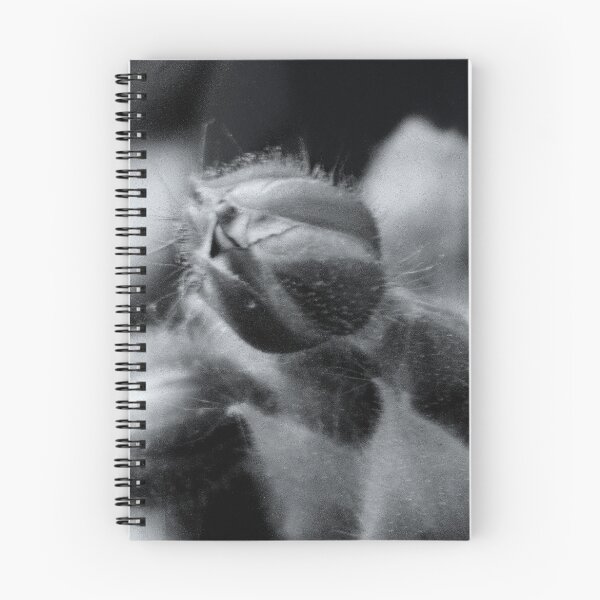 Item preview, Budding Forth   ^ designed and sold by ctheworld.