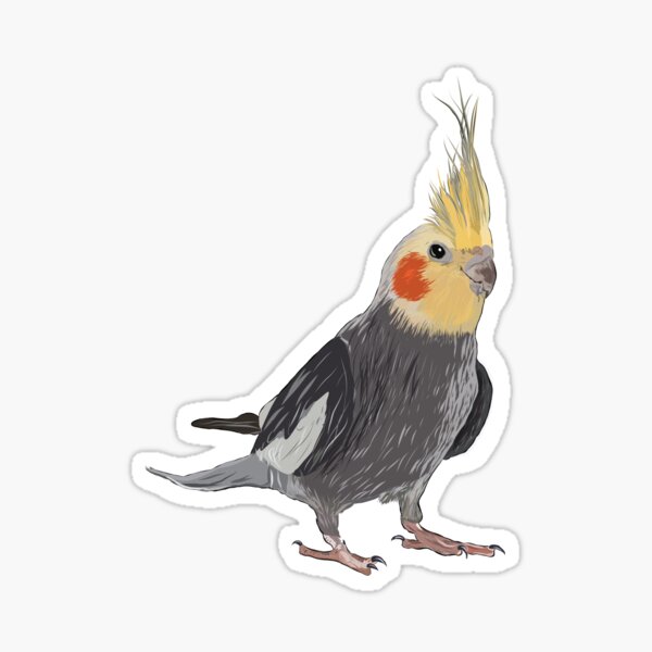 Cockatiel Sticker