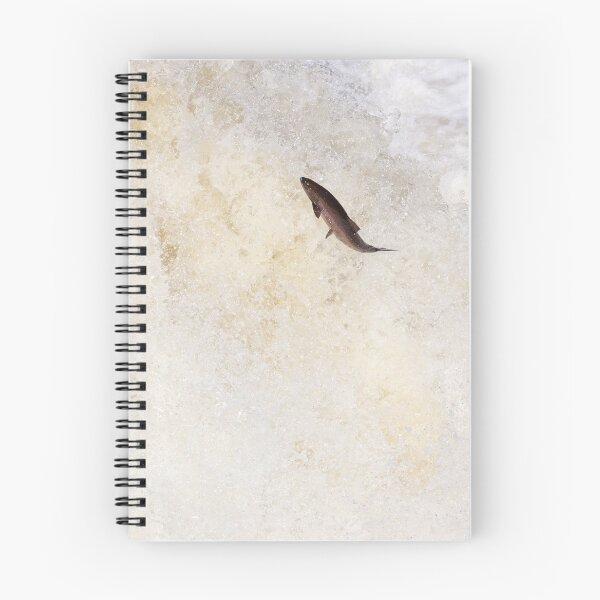 Item preview, Leaping wild salmon designed and sold by chanonry.