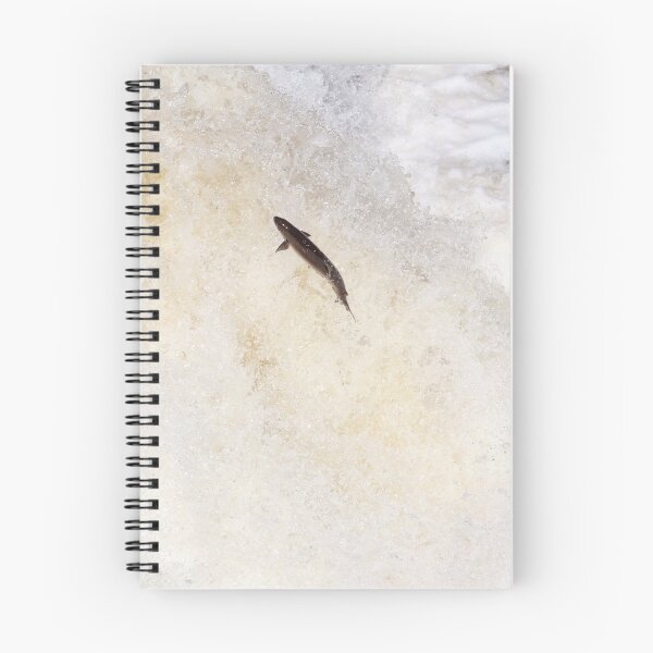 Item preview, Leaping wild salmon designed and sold by chanonry.