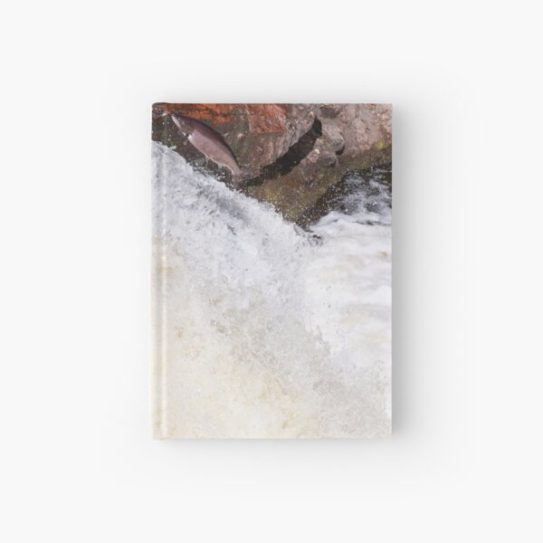 Item preview, Leaping wild salmon designed and sold by chanonry.