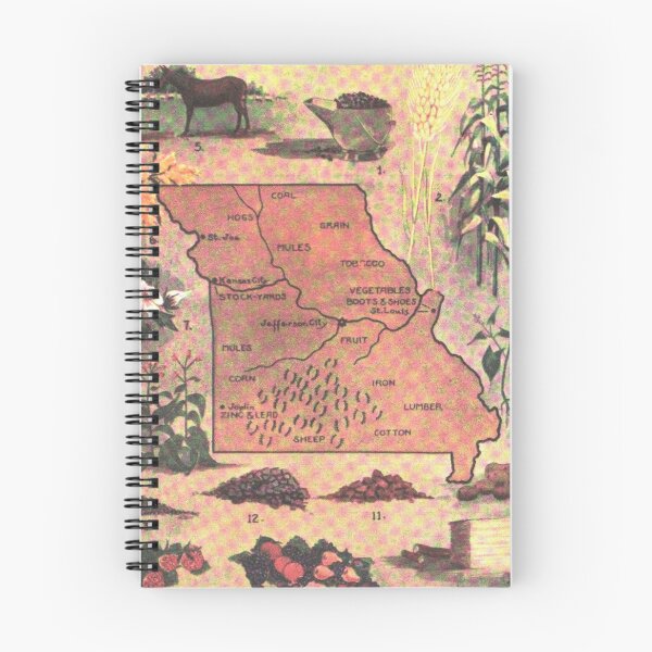 Item preview, Vintage Map of Missouri (1921) designed and sold by BravuraMedia.