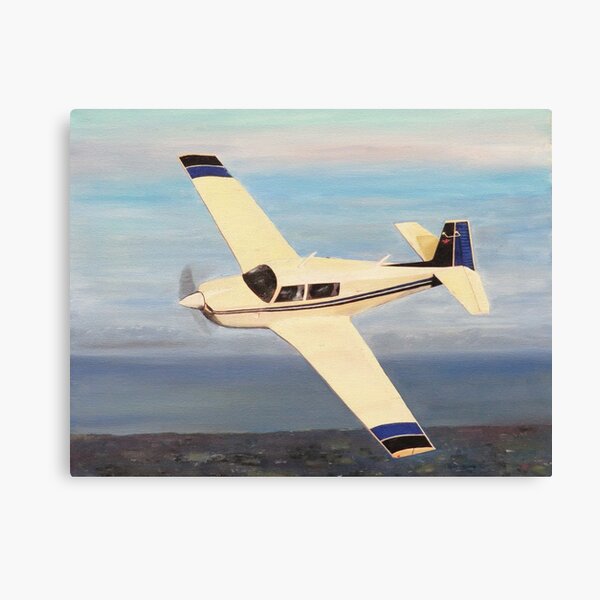 Mooney Canvas Prints for Sale | Redbubble