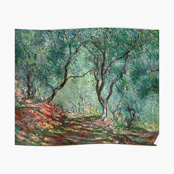 Claude Monet - Olive Tree Wood in Moreno Garden Poster